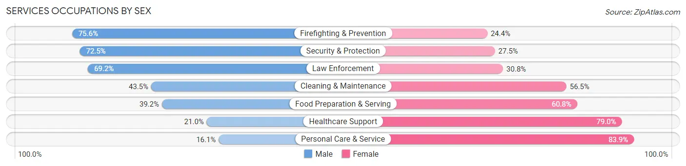 Services Occupations by Sex in Zip Code 46902