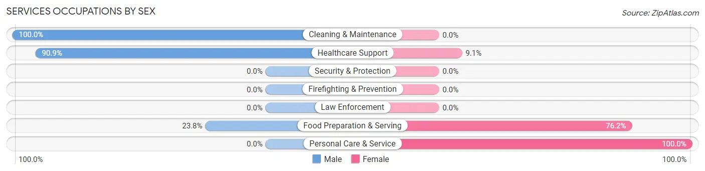 Services Occupations by Sex in Zip Code 46919