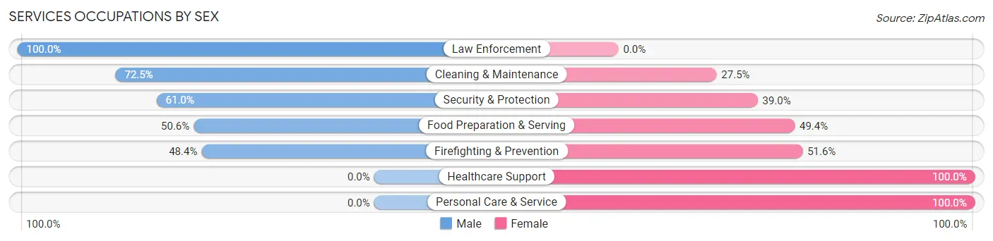 Services Occupations by Sex in Zip Code 46929
