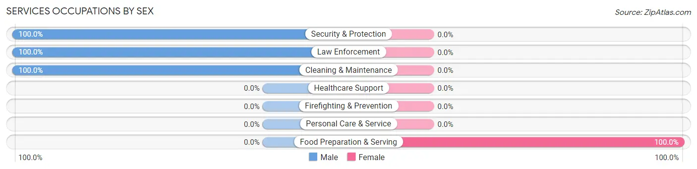 Services Occupations by Sex in Zip Code 46931