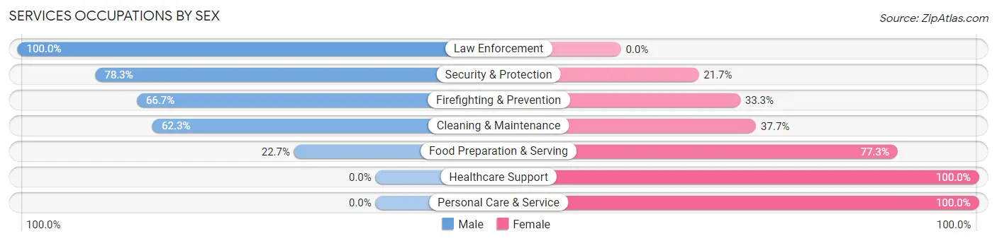 Services Occupations by Sex in Zip Code 46936