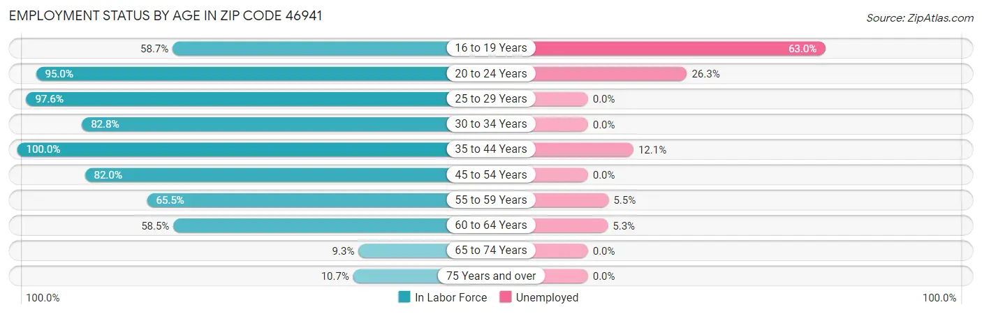 Employment Status by Age in Zip Code 46941