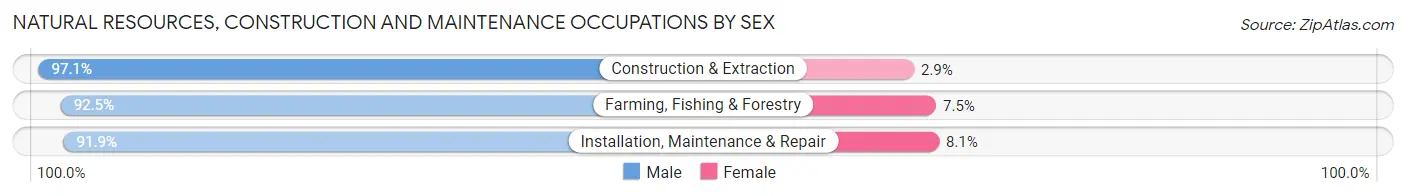 Natural Resources, Construction and Maintenance Occupations by Sex in Zip Code 46947