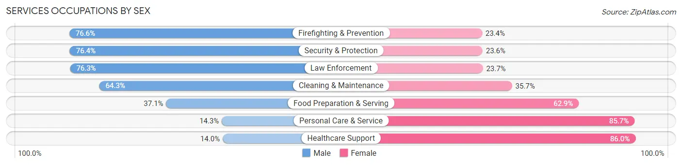 Services Occupations by Sex in Zip Code 46947