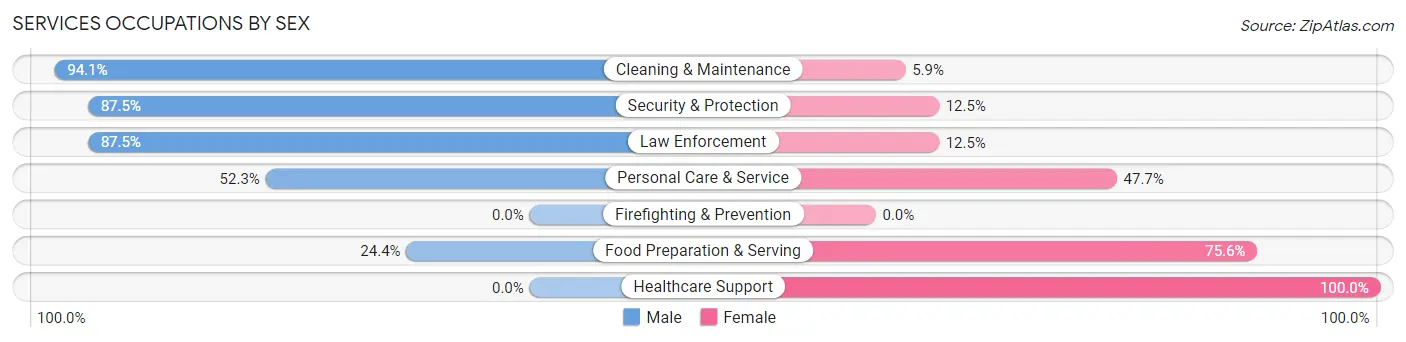 Services Occupations by Sex in Zip Code 46951