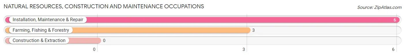 Natural Resources, Construction and Maintenance Occupations in Zip Code 46957