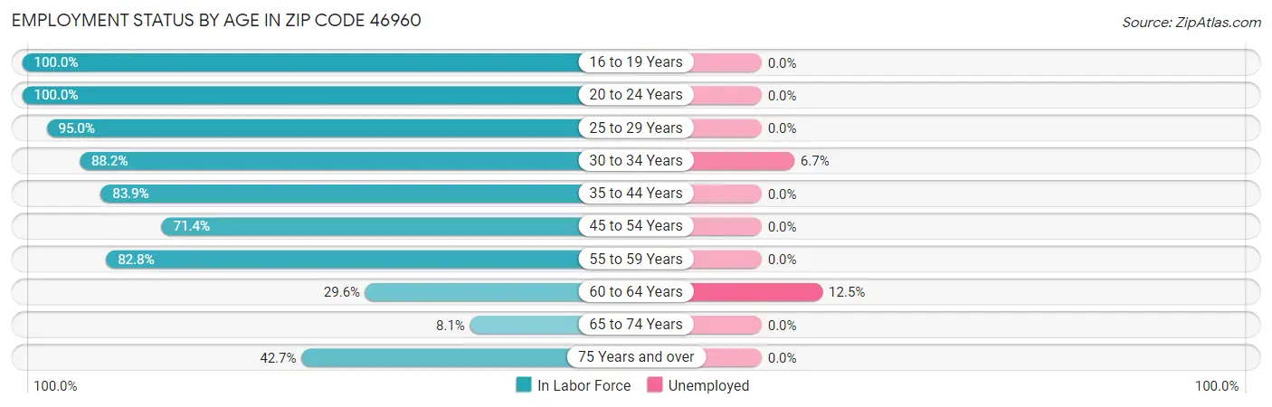 Employment Status by Age in Zip Code 46960