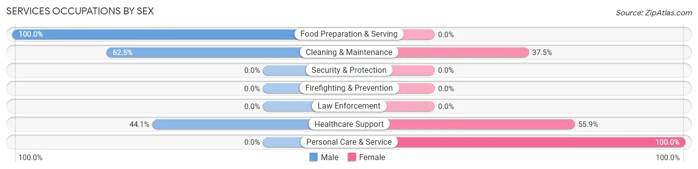 Services Occupations by Sex in Zip Code 46960