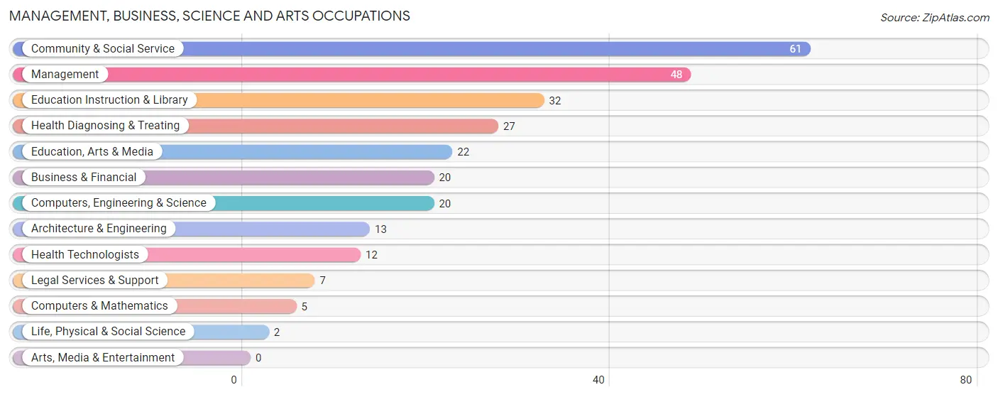 Management, Business, Science and Arts Occupations in Zip Code 46974