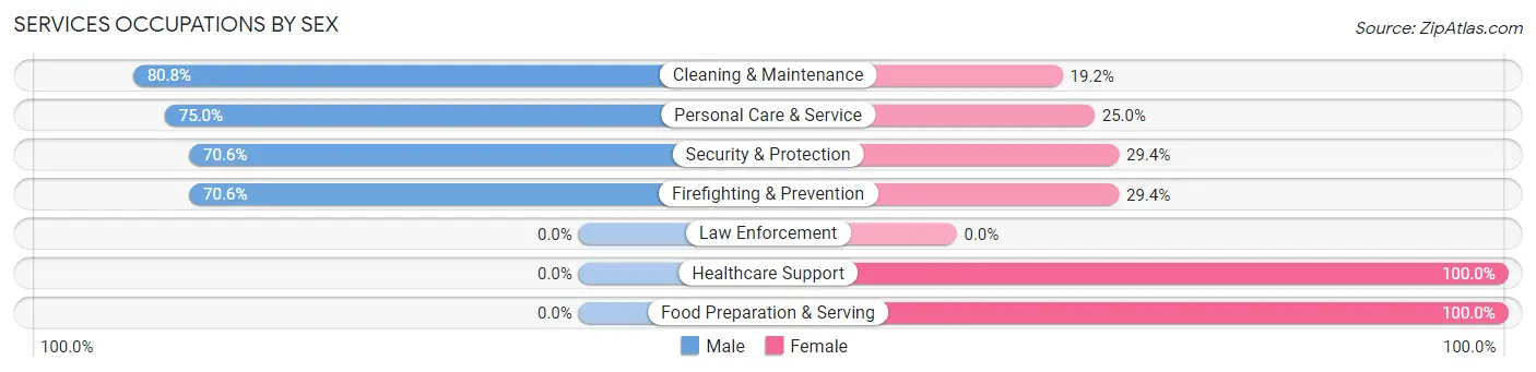Services Occupations by Sex in Zip Code 46974
