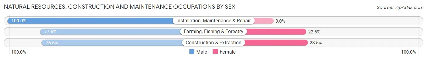 Natural Resources, Construction and Maintenance Occupations by Sex in Zip Code 46975