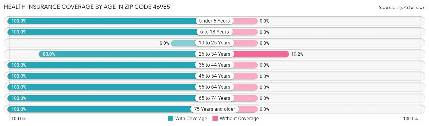 Health Insurance Coverage by Age in Zip Code 46985
