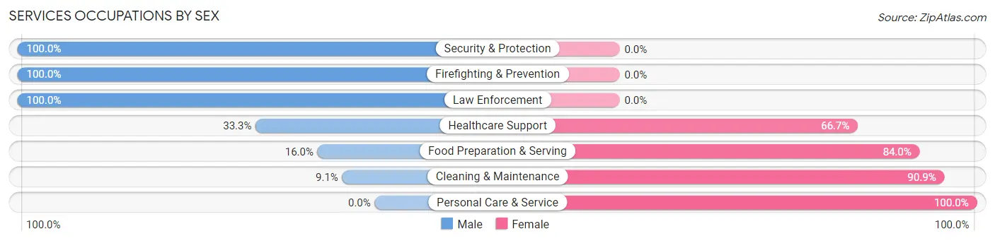 Services Occupations by Sex in Zip Code 46991