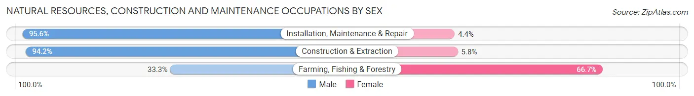 Natural Resources, Construction and Maintenance Occupations by Sex in Zip Code 47001