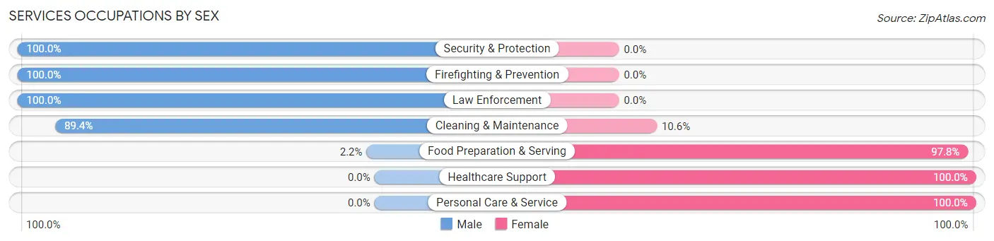 Services Occupations by Sex in Zip Code 47032