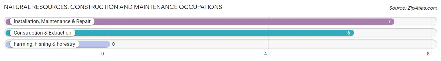 Natural Resources, Construction and Maintenance Occupations in Zip Code 47034