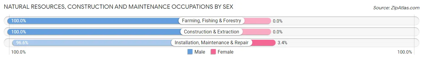 Natural Resources, Construction and Maintenance Occupations by Sex in Zip Code 47040