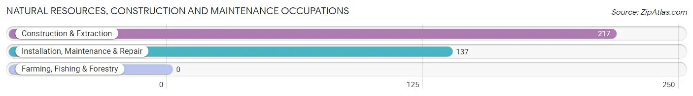 Natural Resources, Construction and Maintenance Occupations in Zip Code 47119