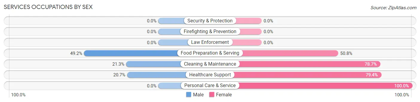 Services Occupations by Sex in Zip Code 47161
