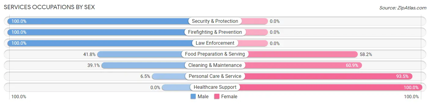 Services Occupations by Sex in Zip Code 47167