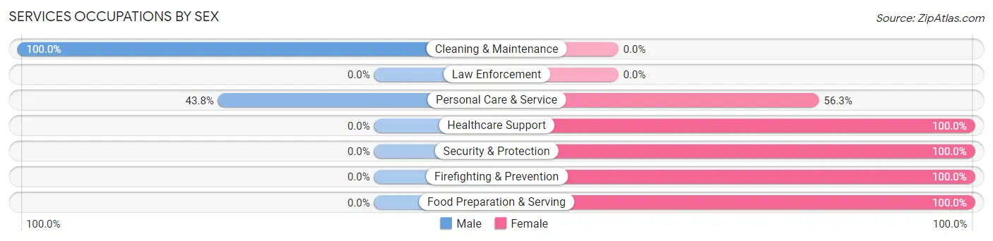 Services Occupations by Sex in Zip Code 47232