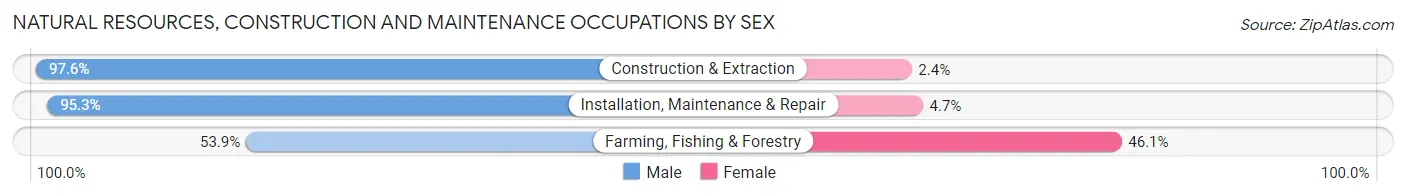 Natural Resources, Construction and Maintenance Occupations by Sex in Zip Code 47250
