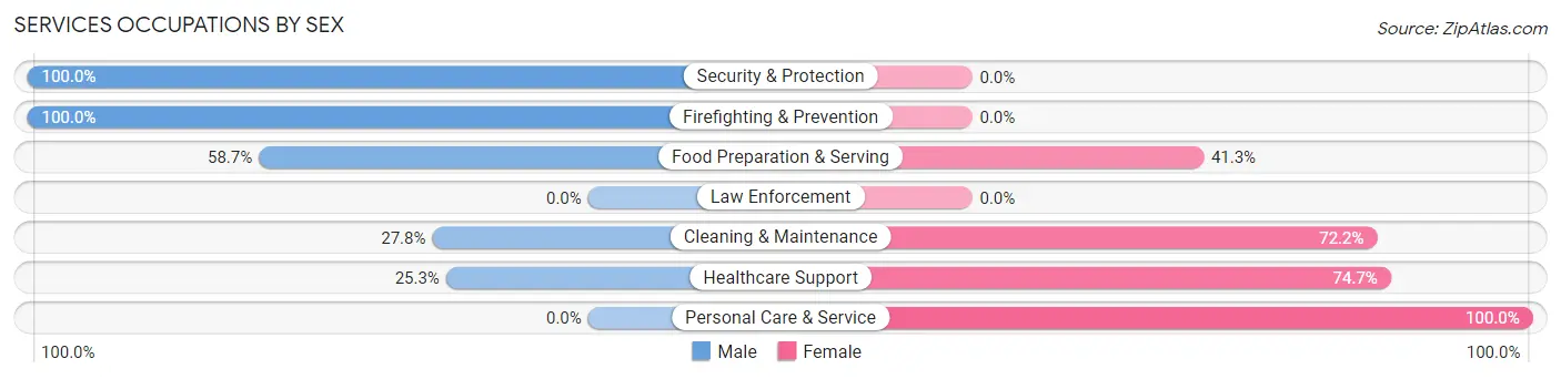 Services Occupations by Sex in Zip Code 47260