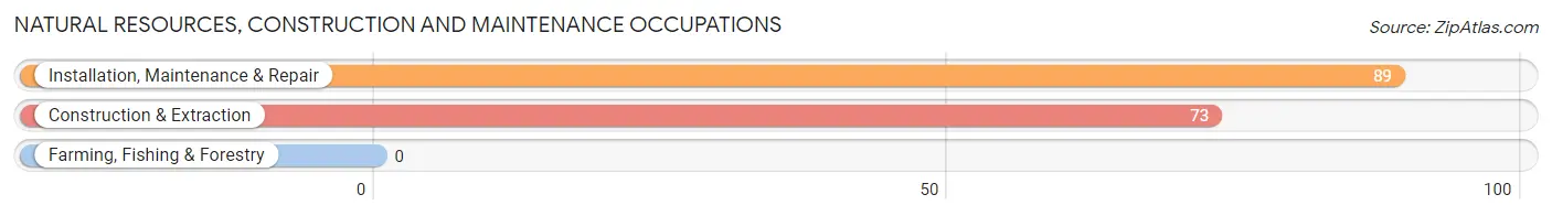 Natural Resources, Construction and Maintenance Occupations in Zip Code 47273