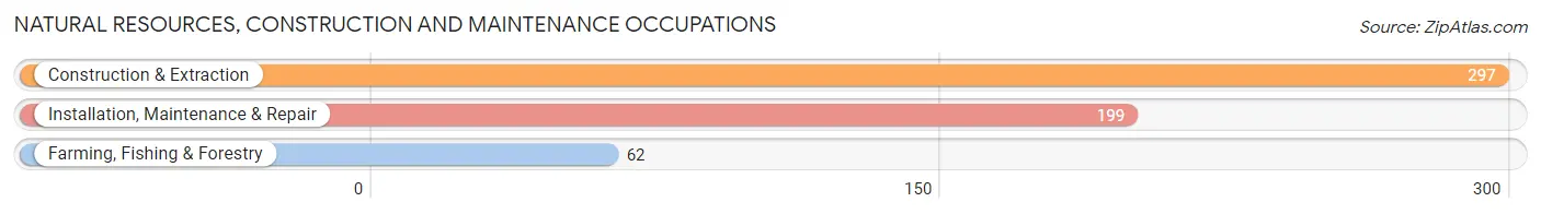 Natural Resources, Construction and Maintenance Occupations in Zip Code 47303