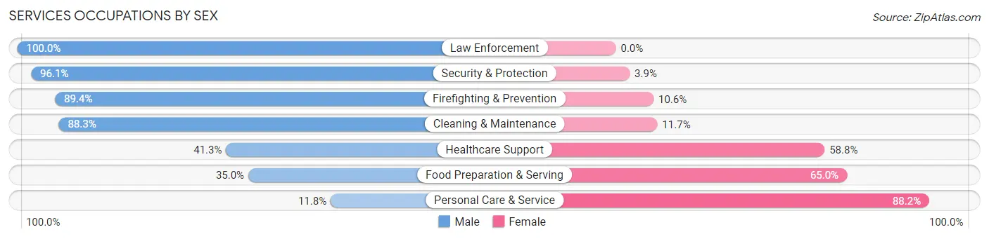 Services Occupations by Sex in Zip Code 47304