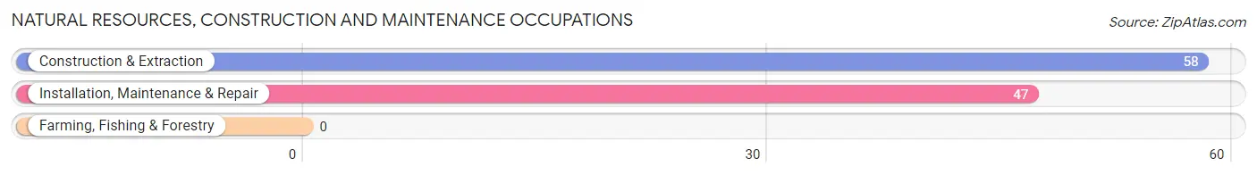 Natural Resources, Construction and Maintenance Occupations in Zip Code 47305