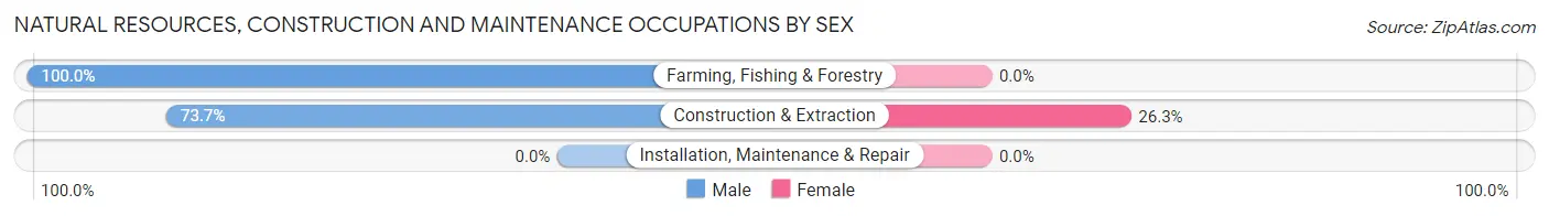 Natural Resources, Construction and Maintenance Occupations by Sex in Zip Code 47306