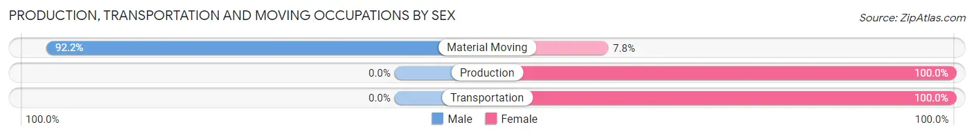 Production, Transportation and Moving Occupations by Sex in Zip Code 47306