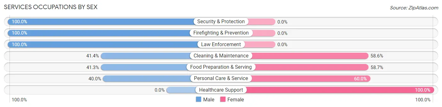 Services Occupations by Sex in Zip Code 47341