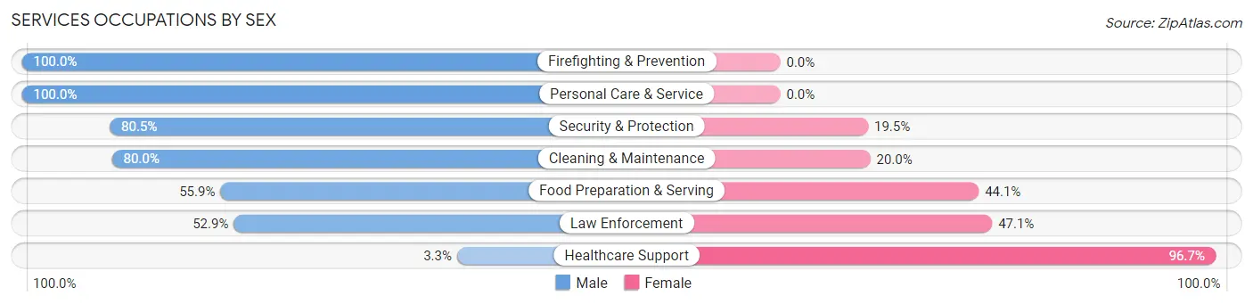 Services Occupations by Sex in Zip Code 47342