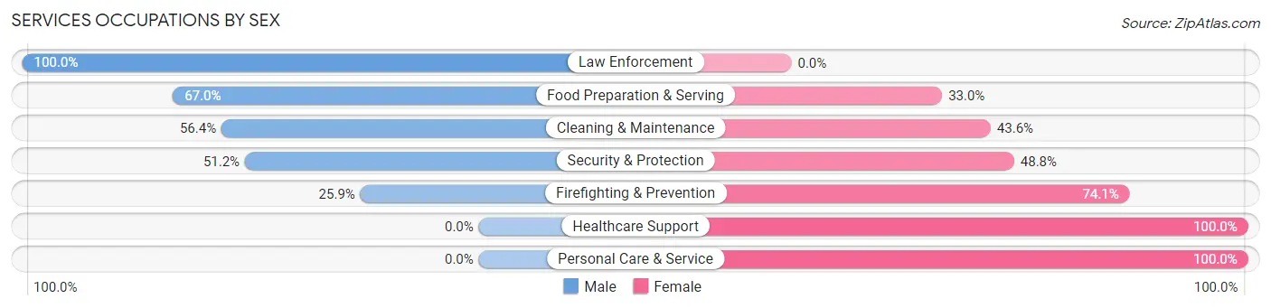 Services Occupations by Sex in Zip Code 47348