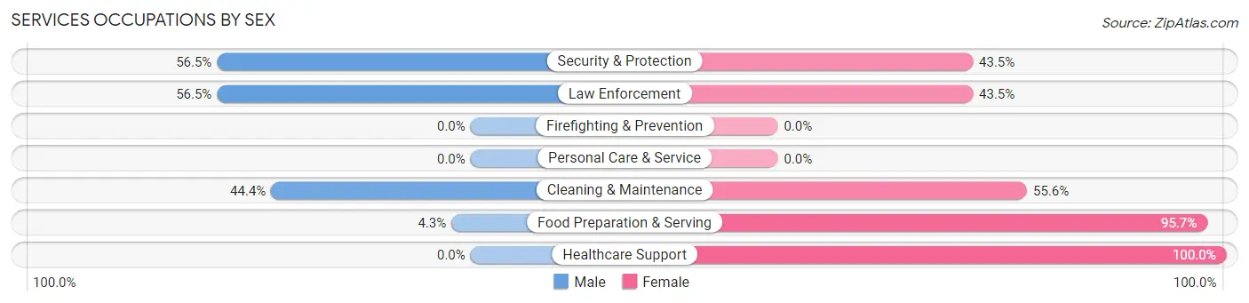 Services Occupations by Sex in Zip Code 47355
