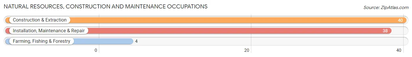 Natural Resources, Construction and Maintenance Occupations in Zip Code 47360