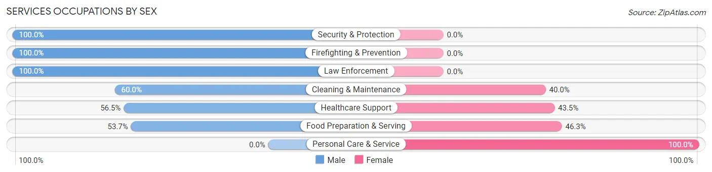 Services Occupations by Sex in Zip Code 47373