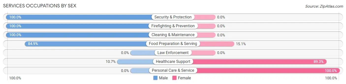Services Occupations by Sex in Zip Code 47385