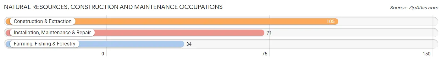 Natural Resources, Construction and Maintenance Occupations in Zip Code 47393