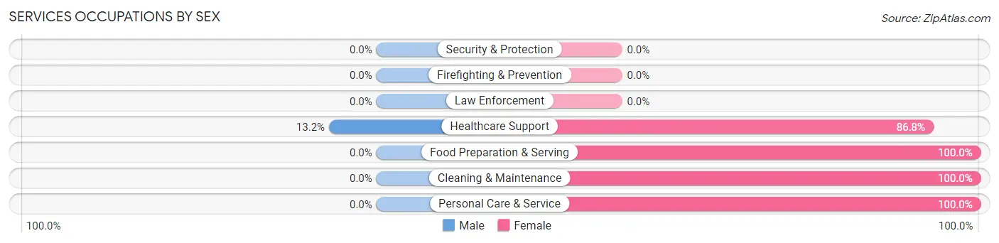 Services Occupations by Sex in Zip Code 47393