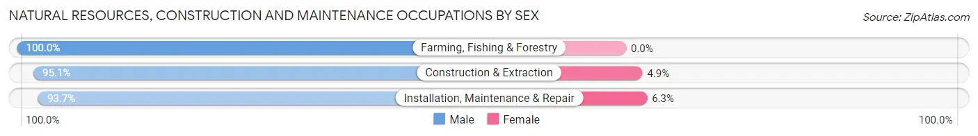 Natural Resources, Construction and Maintenance Occupations by Sex in Zip Code 47421
