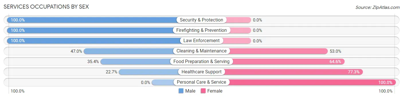 Services Occupations by Sex in Zip Code 47448