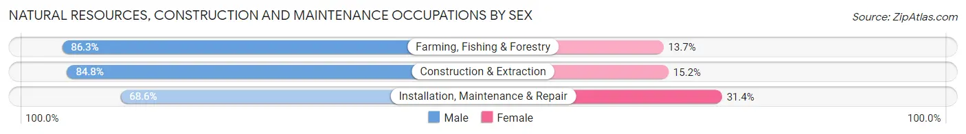 Natural Resources, Construction and Maintenance Occupations by Sex in Zip Code 47452