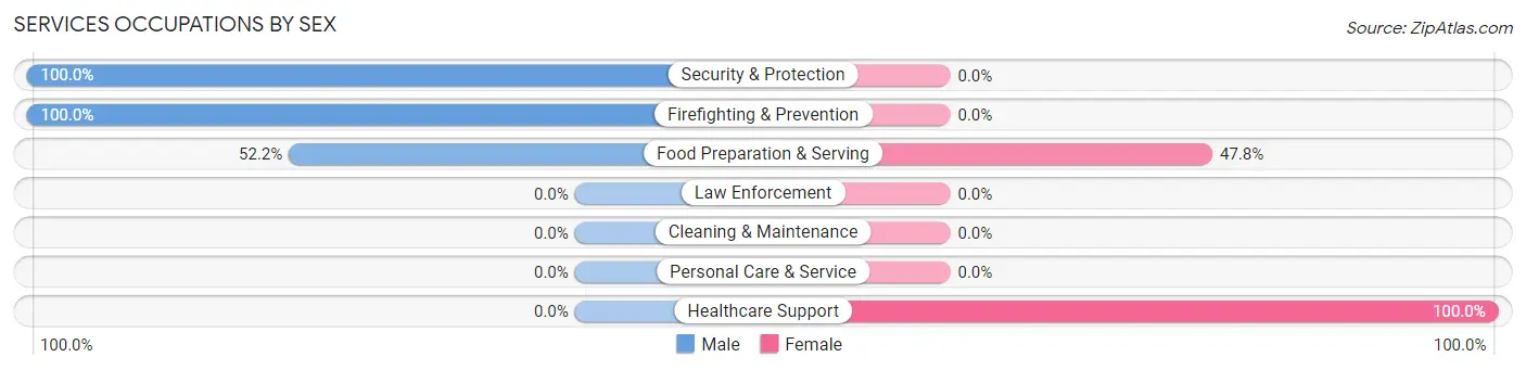 Services Occupations by Sex in Zip Code 47470