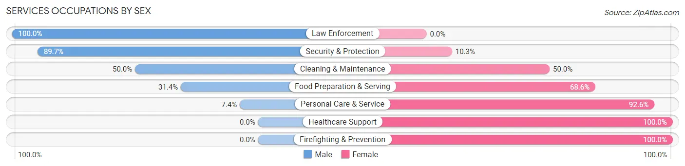 Services Occupations by Sex in Zip Code 47553