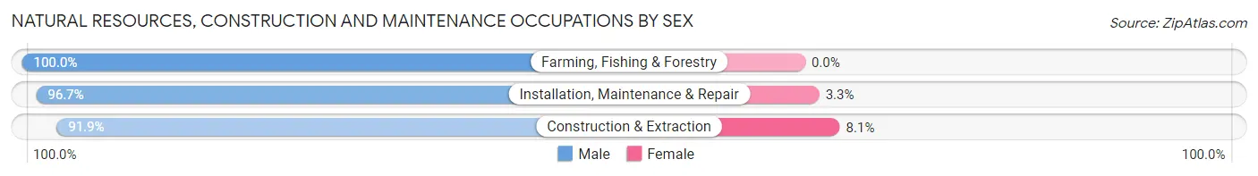 Natural Resources, Construction and Maintenance Occupations by Sex in Zip Code 47558