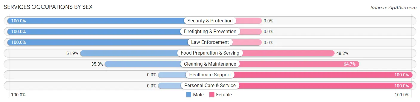 Services Occupations by Sex in Zip Code 47562