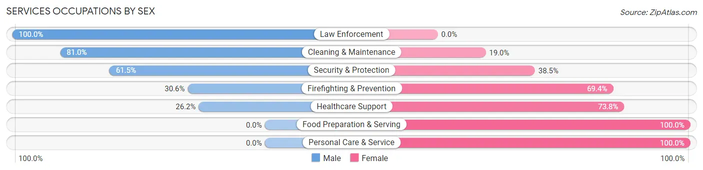 Services Occupations by Sex in Zip Code 47567